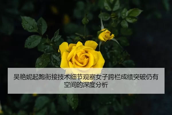 吴艳妮起跑衔接技术细节观察女子跨栏成绩突破仍有空间的深度分析