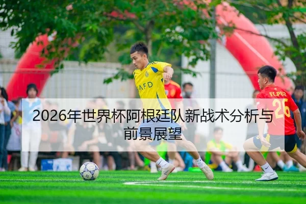 2026年世界杯阿根廷队新战术分析与前景展望
