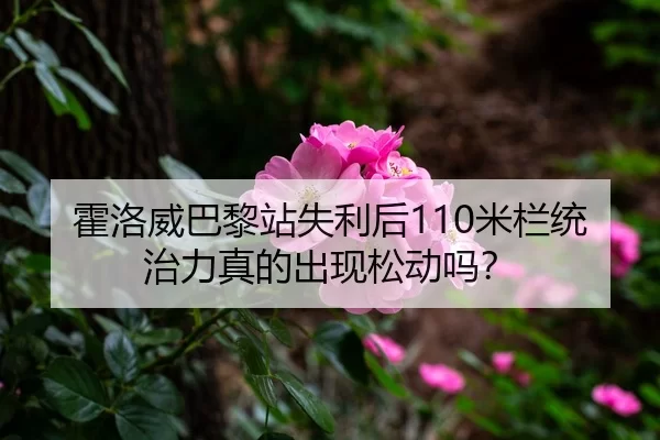 霍洛威巴黎站失利后110米栏统治力真的出现松动吗？