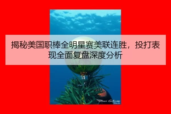 jie-mi-mei-guo-zhi-bang-quan-ming-xing-sai-mei-lian-lian-sheng-tou-da-biao-xian-quan-mian-fu-pan-shen-du-fen-xi-3-639.jpg