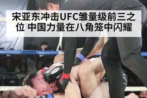 宋亚东冲击UFC雏量级前三之位 中国力量在八角笼中闪耀